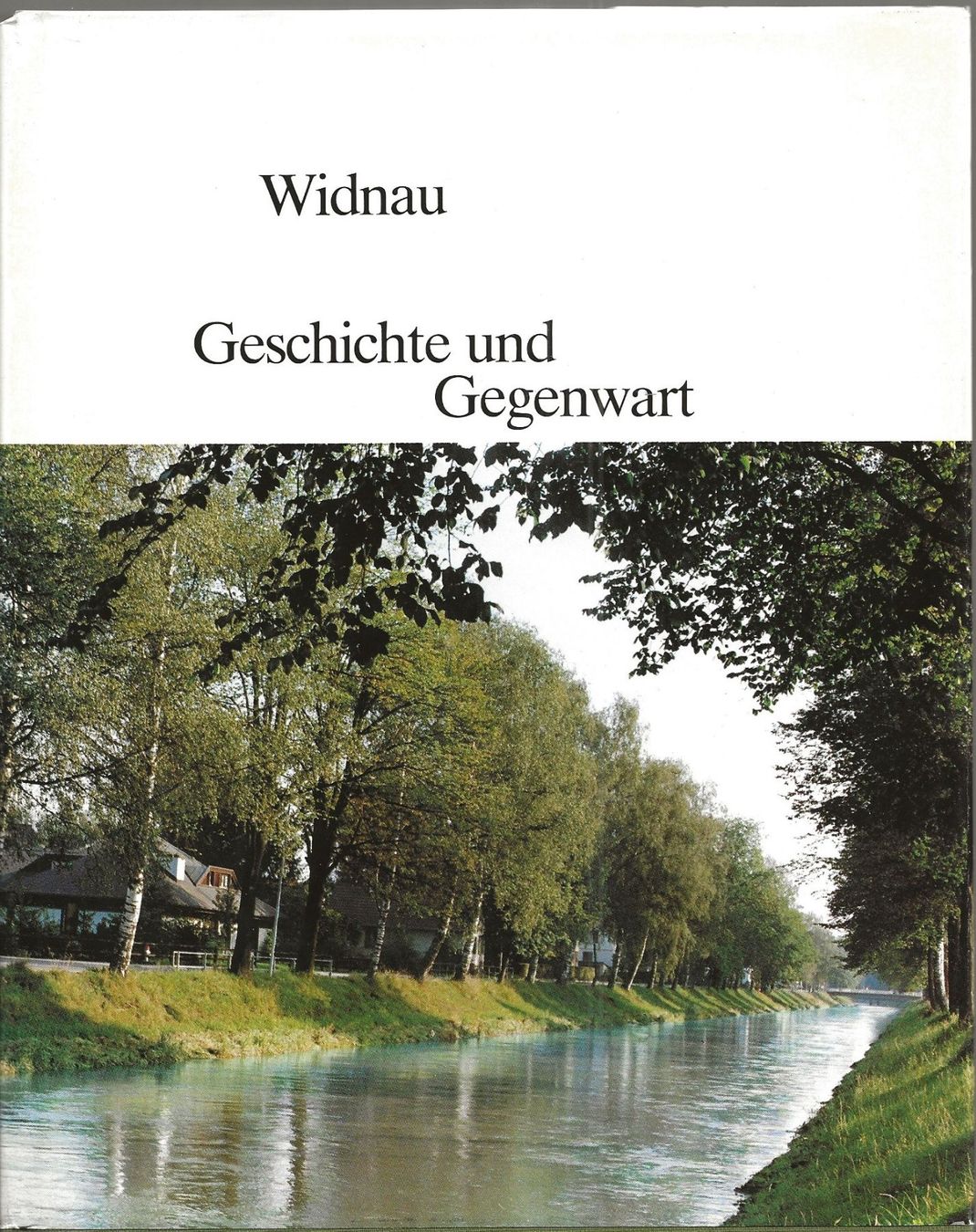 Libri: Widnau Geschichte und Gegenwart 1982 – Usato da Bern venduto da Grindelwaldaus