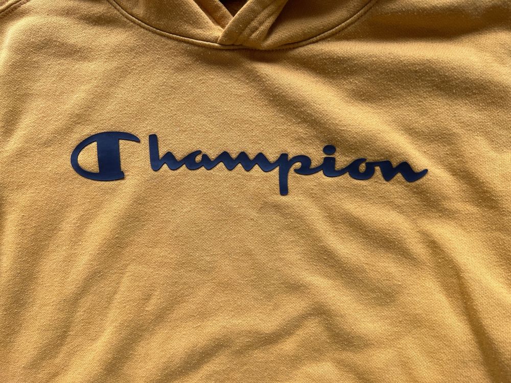 Champion hotsell sweatshirt 152