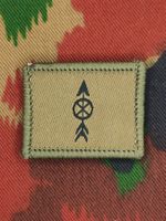 Funktionsabzeichen Trainsoldat, Variante 1