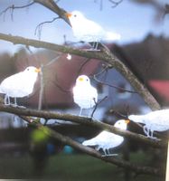 Leuchtende Halskette mit 5 Vögelchen aus Plexiglas