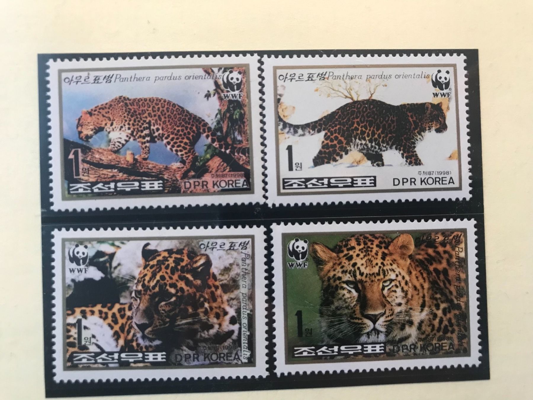 Tutti i francobolli: WWF 1998 Korea Satz Amur-Leopard postfrisch – Nuovo (secondo la descrizione) da Liestal venduto da schnueps