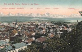 Biel BE Stadtpanorama und Alpen