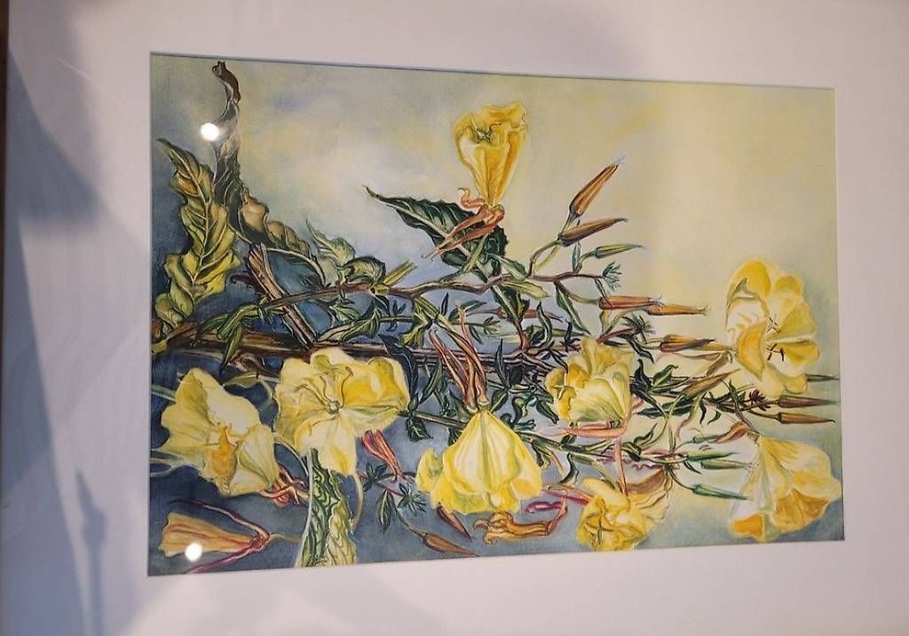 Dipinti: Aquarell Kundry "Echtgelb Hell" 69.5 x 52.5 – Usato da Neuhausen venduto da mar_ryh8 1