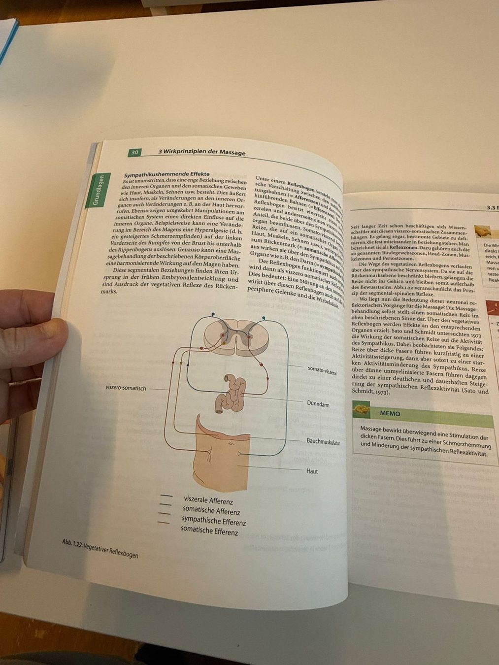 Libri: Massage-Buch – Nuovo (secondo la descrizione) da Zweisimmen venduto da Mousie 2