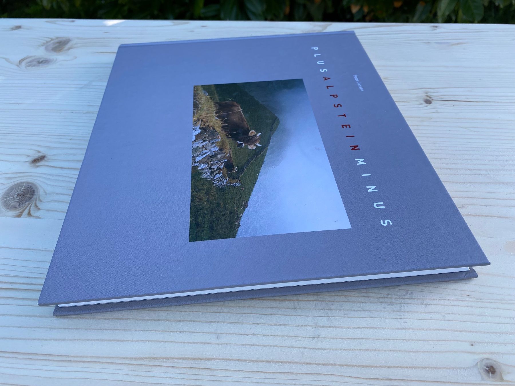 Campanacci mucche: Buch Plus Alpstein Minus – Usato da Feldbach venduto da Olive1 3