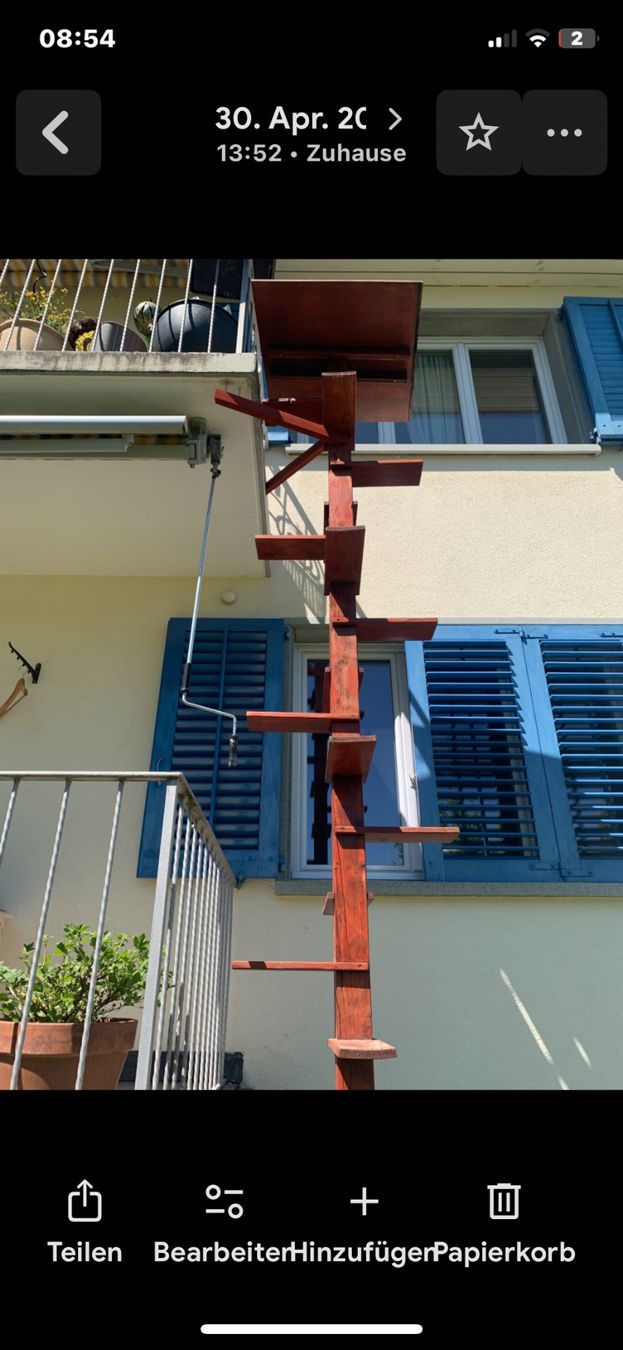 Treppen: Katzentreppe massiv – Gebraucht aus Küttigen von Sansiveria_86 2