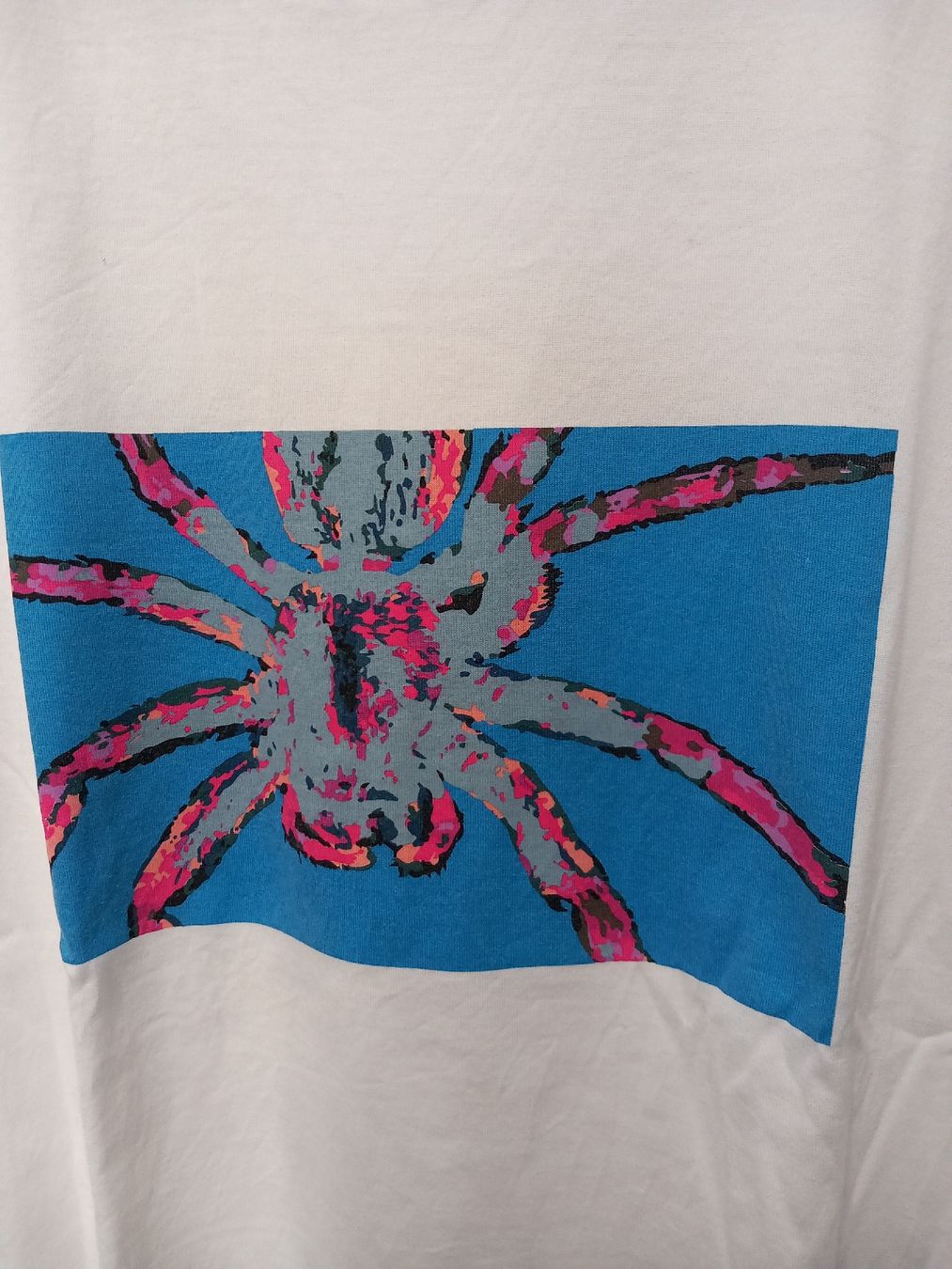 Lanvin T-shirt: Lanvin Shirt Spider Gr.L – Usato da Gwatt (Thun) venduto da umwelt-brocki 2