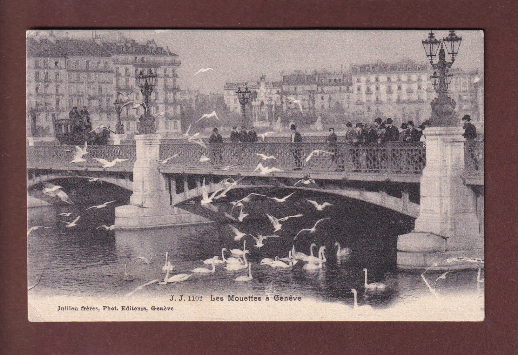Cartoline postali: GENEVE - Les Mouettes - Attelage - 1907 – Usato da Pully venduto da nicecards