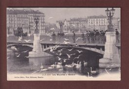 GENEVE - Les Mouettes - Attelage - 1907