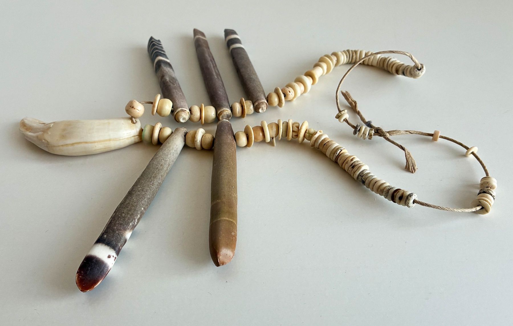 Catenine: Knochen Kette mit echtem Zahn – Usato da Bäretswil venduto da robsonantik 3
