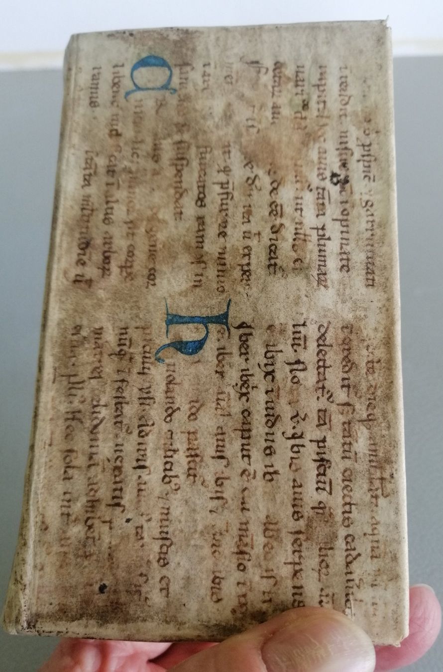 Livres: Antikes Buch "Poliologia" 1702 – D'occasion à Mörschwil par Erwin8242 8