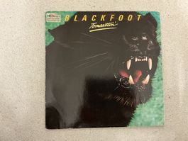 BLACKFOOT LP - Tomcattin (VG)