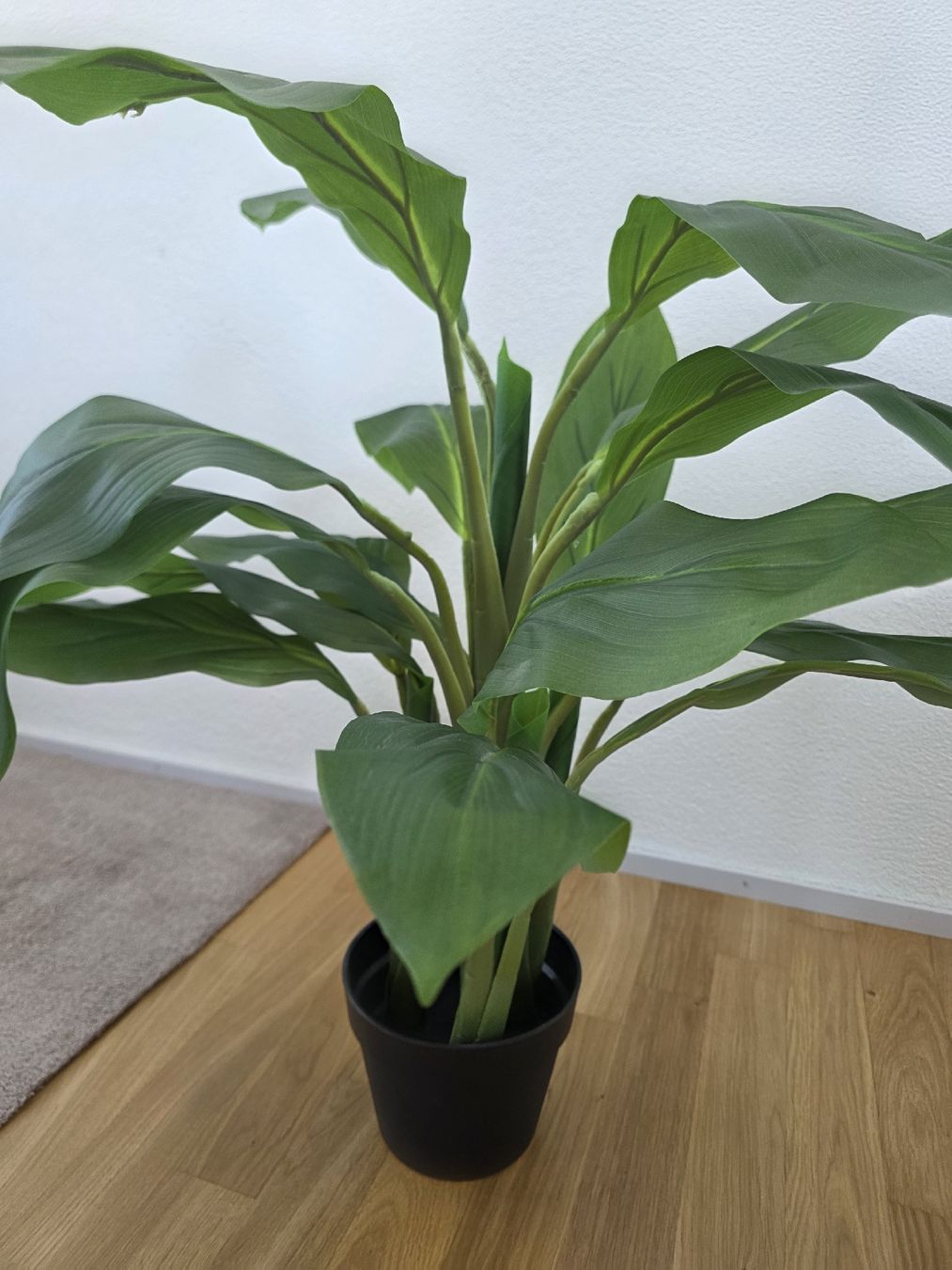 Pflanzen & Samen: Topfpflanze Kunstpflanze 85cm  – Gebraucht aus Schlieren von est_b2px 5