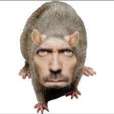 Profile image of sigmawolf69