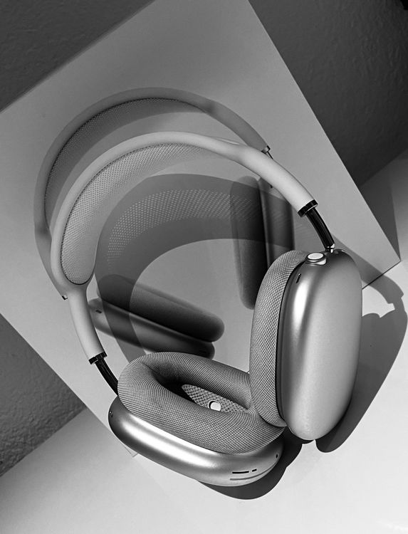 AirPods Max Silber Kaufen auf Ricardo