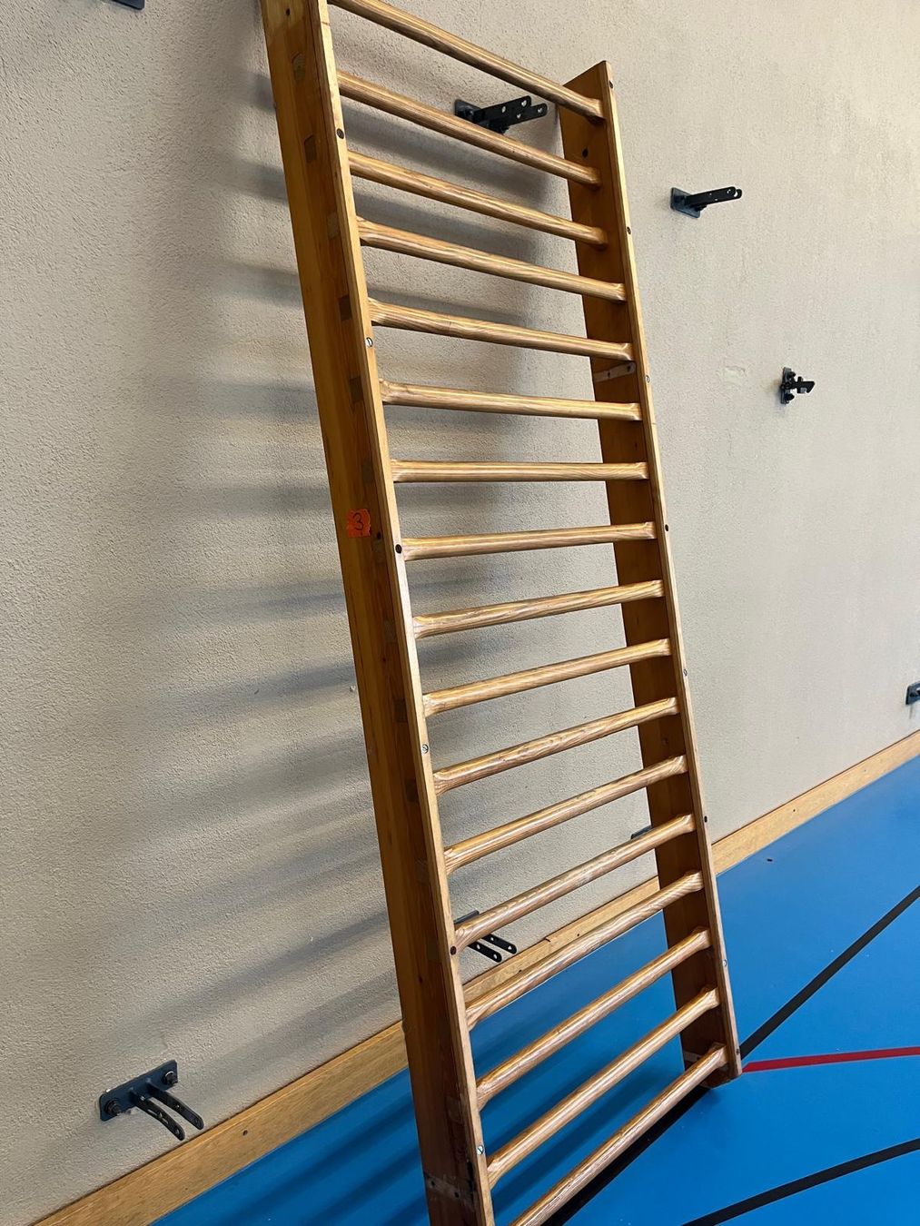 Kletterwände & Klettergriffe: 1er Sprossenwand leicht #3 – Gebraucht aus Winterthur von ReUse_Baumarkt 2