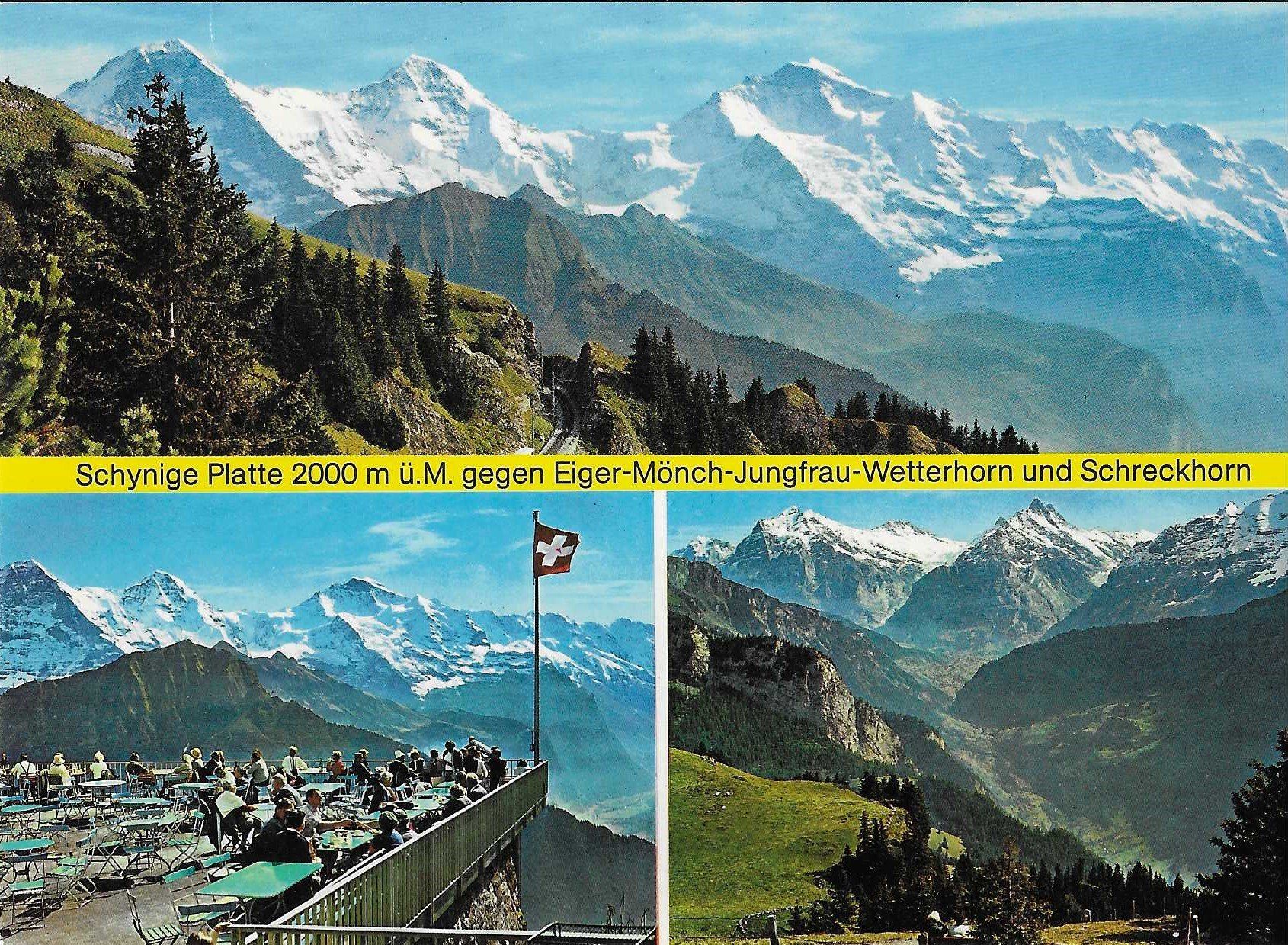 Cartoline postali: Schynige Platte BE – Nuovo (secondo la descrizione) da Rothrist venduto da Stranglehold