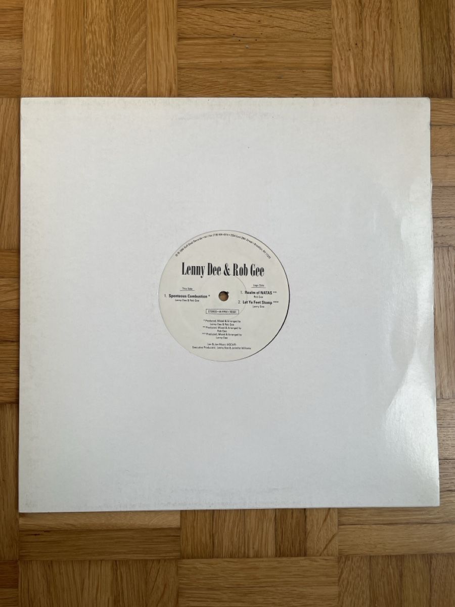 Dischi in vinile: Lenny Dee & Rob Gee Hardcore / Gabber Vinyl – Usato da Wangen b. Olten venduto da break72