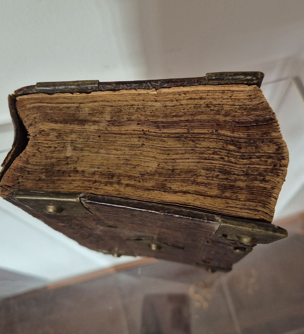 Libri: antikes Musikbuch – Usato da Schaffhausen venduto da peggi77755 2