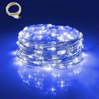 10m LED Lichterkette blau für Weihnachten USB