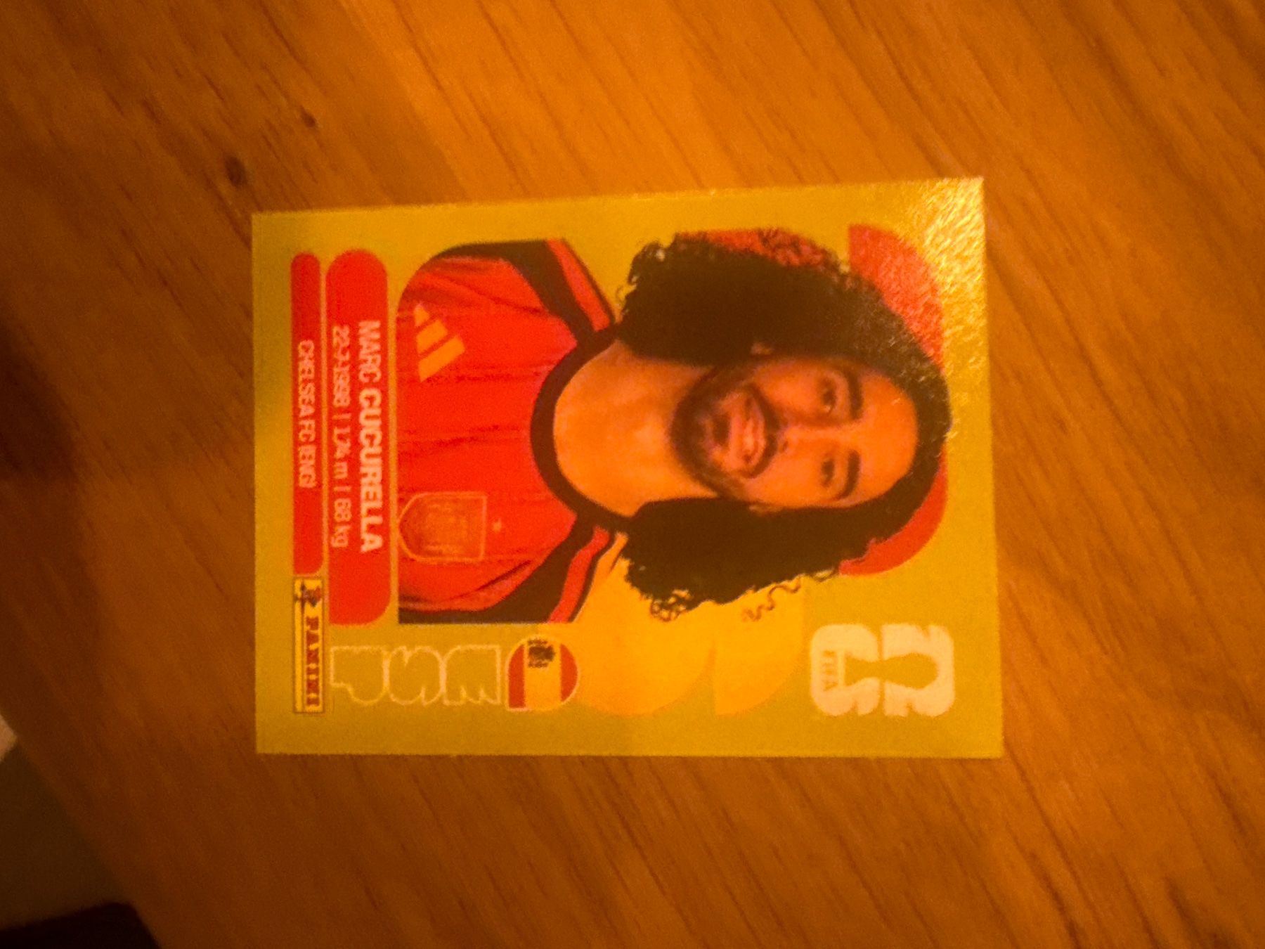Panini Sammelbilder & Trading cards: Panini – Gebraucht aus Langnau i. E. von Acrjl