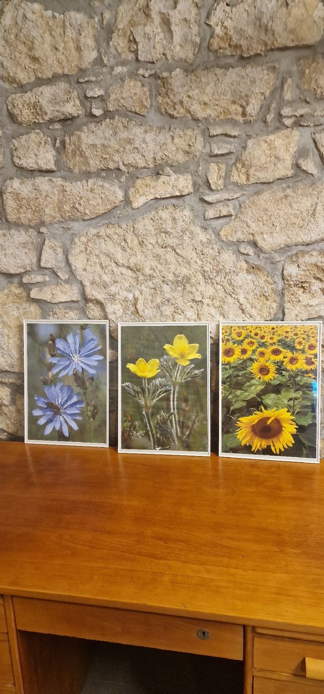 Posters & Illustrations: 3 Bilder mit Blumen Motiv  – D'occasion à Grellingen par syl_t5wm 4
