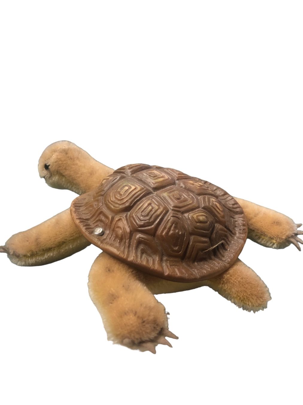 Steiff Giocattoli: Steiff - Schildkröte Slo  19 cm lang mit Knopf – Usato da Pratteln venduto da Dollshop 2