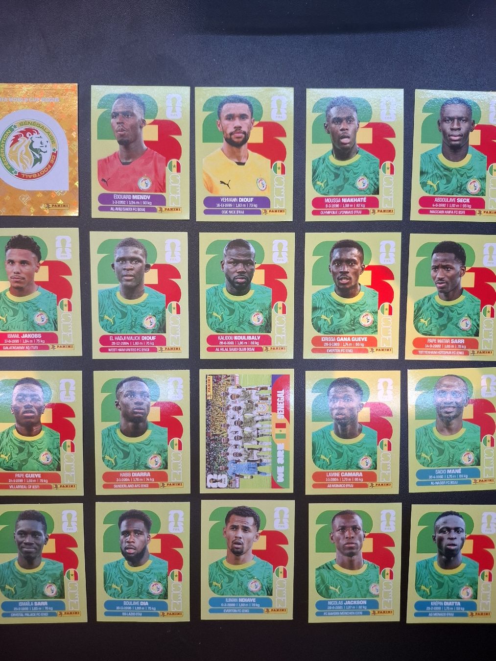 Panini Carte collezionabili: Panini ganzes Team Senegal  – Nuovo (secondo la descrizione) da Lieli venduto da Andrin.1901