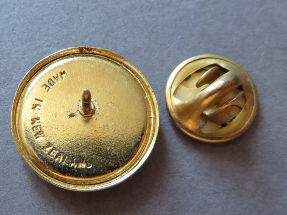 Placchette & Badge: PIN, BRIENZ ROTHORN BAHN – Usato da Neuhausen venduto da luckimucki 1