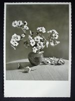 BLUMEN IN DER VASE gel. 1952 v. Oetwil am See