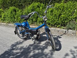 Mofa Vap Tebag Peggy