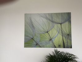 Schönes Bild