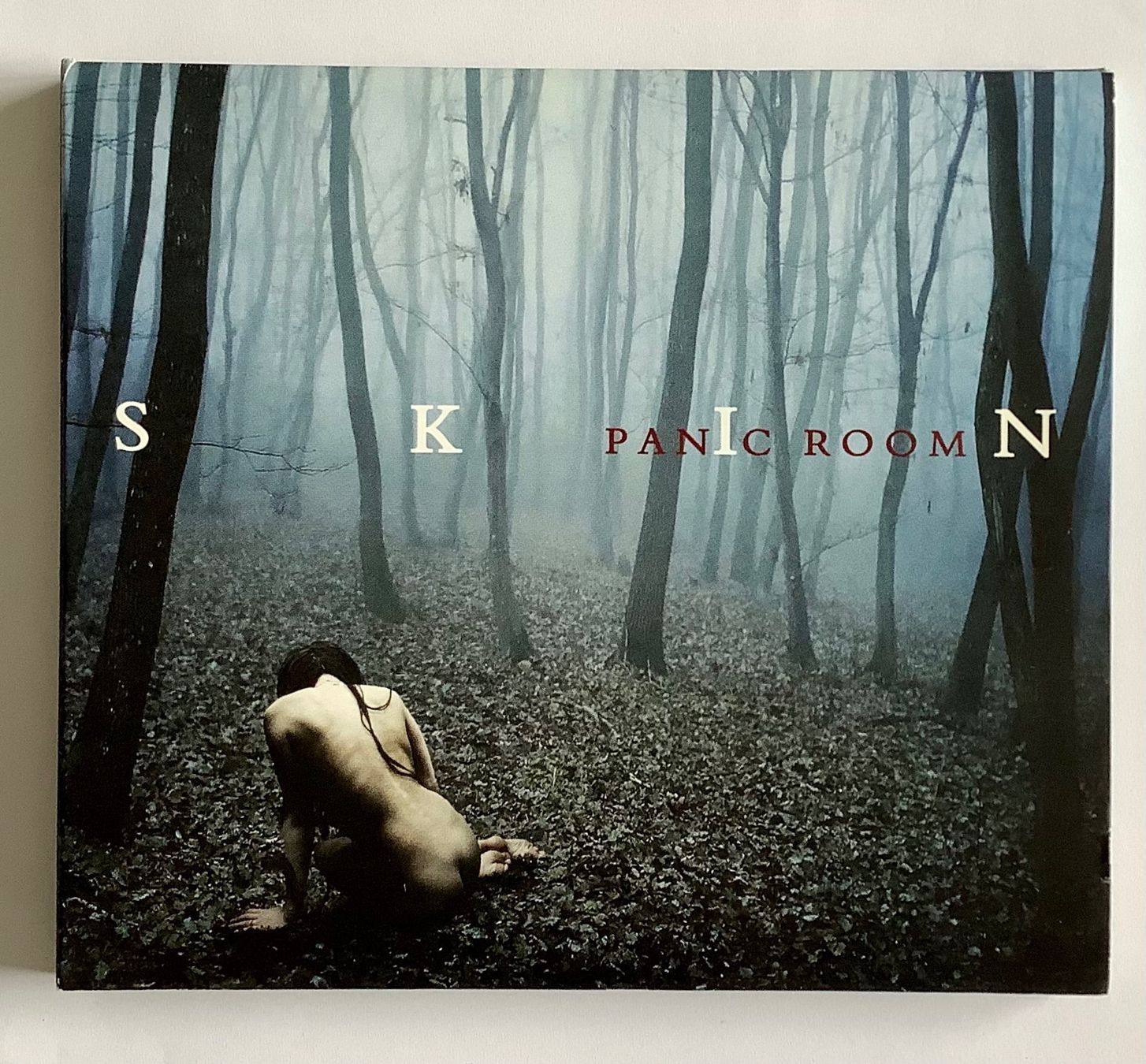 CD: Progressive Rock// PANIC ROOM CD – Usato da Arcegno venduto da Denni