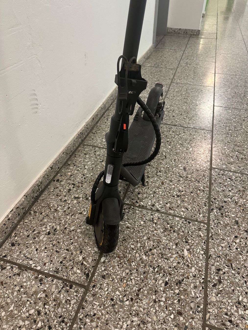 Kickboard: Elektro Tretroller GO – Usato da Liestal venduto da FuV01 2