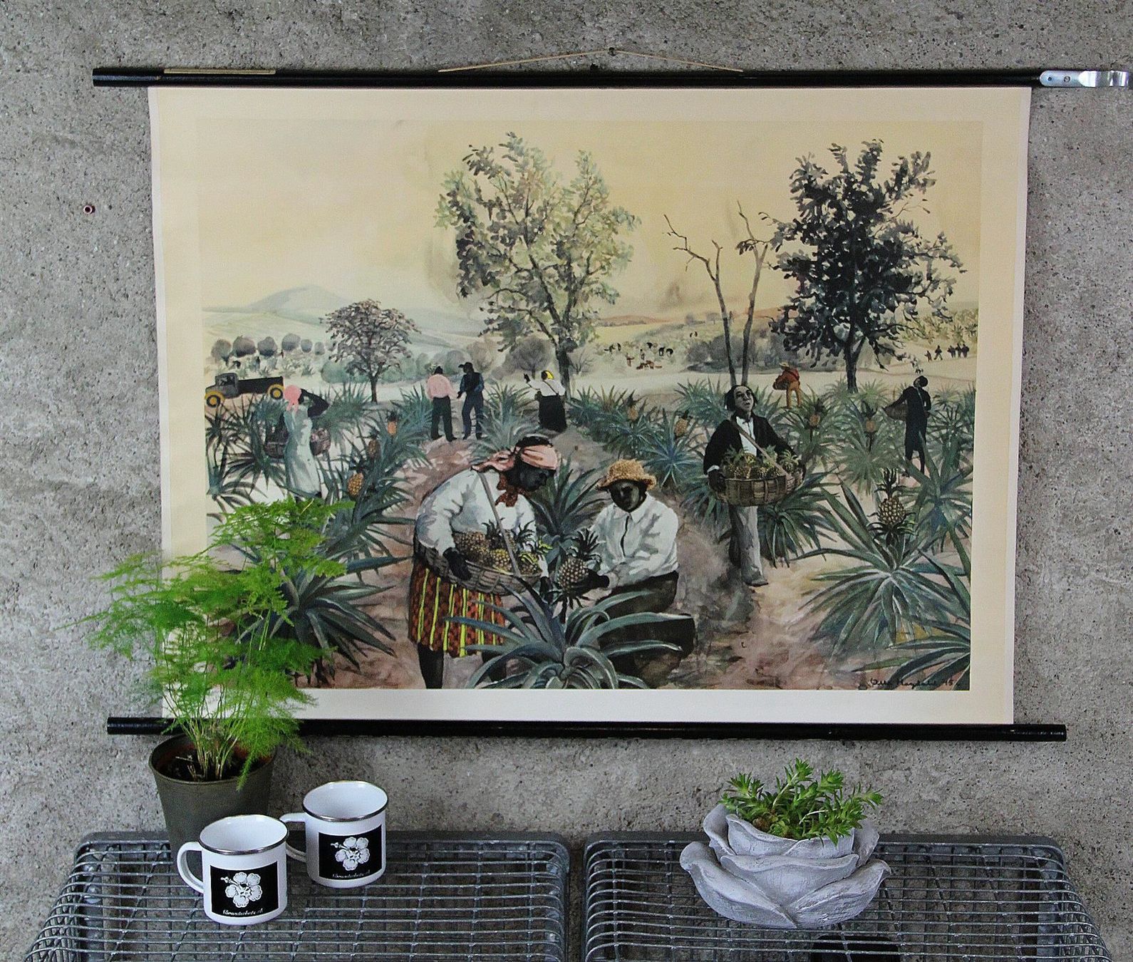 Poster & Bilder: Schulwandbild "Ananasernte, Ananas" – Gebraucht aus Birrwil von brandschatz_birrwil 1