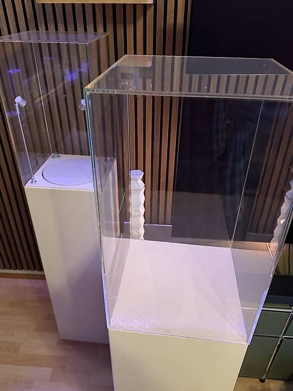 Altro in Decorazioni & Accessori: Galeriesockel mit Plexiglashaube – Usato da Basel venduto da Pfischti02 1