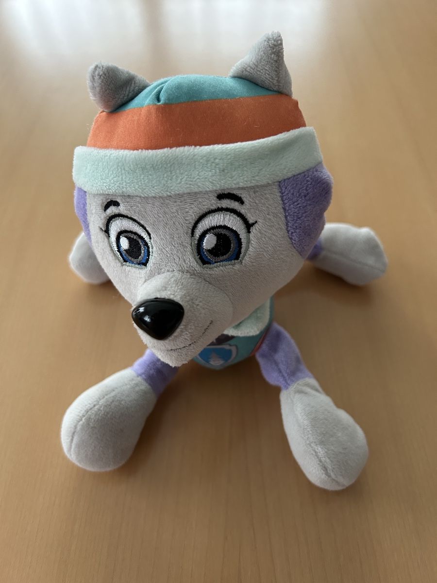 Giocattoli: Paw Patrol Everest – Nuovo (secondo la descrizione) da Forch venduto da CorinneB-K