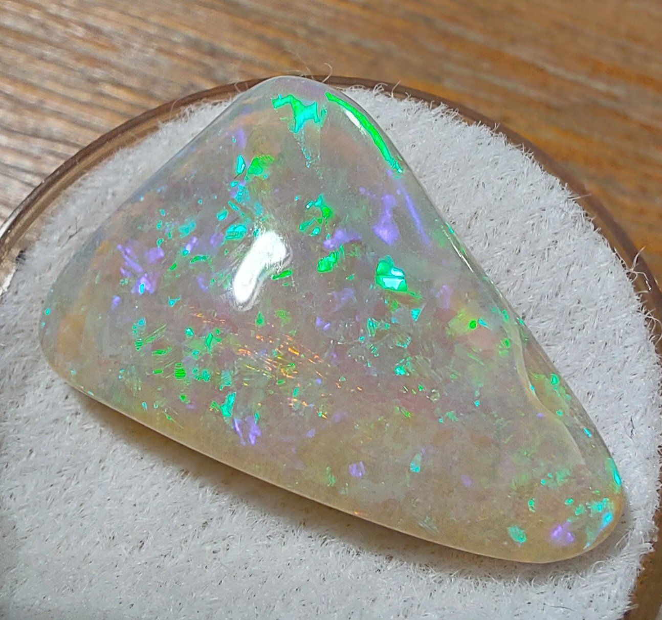 Edelsteine: Opal (opalisiertes Muschelstück) – Neu (gemäss Beschreibung) aus Klingnau von Tamina5 1