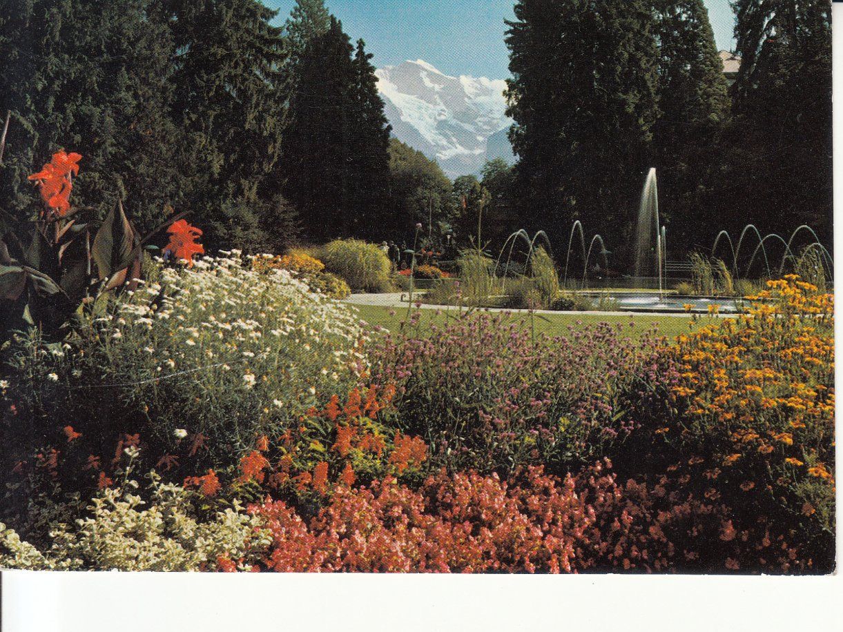 Cartoline postali: Interlaken 1973 – Usato da Bürglen TG venduto da StampGraf