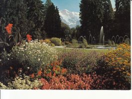 Interlaken 1973