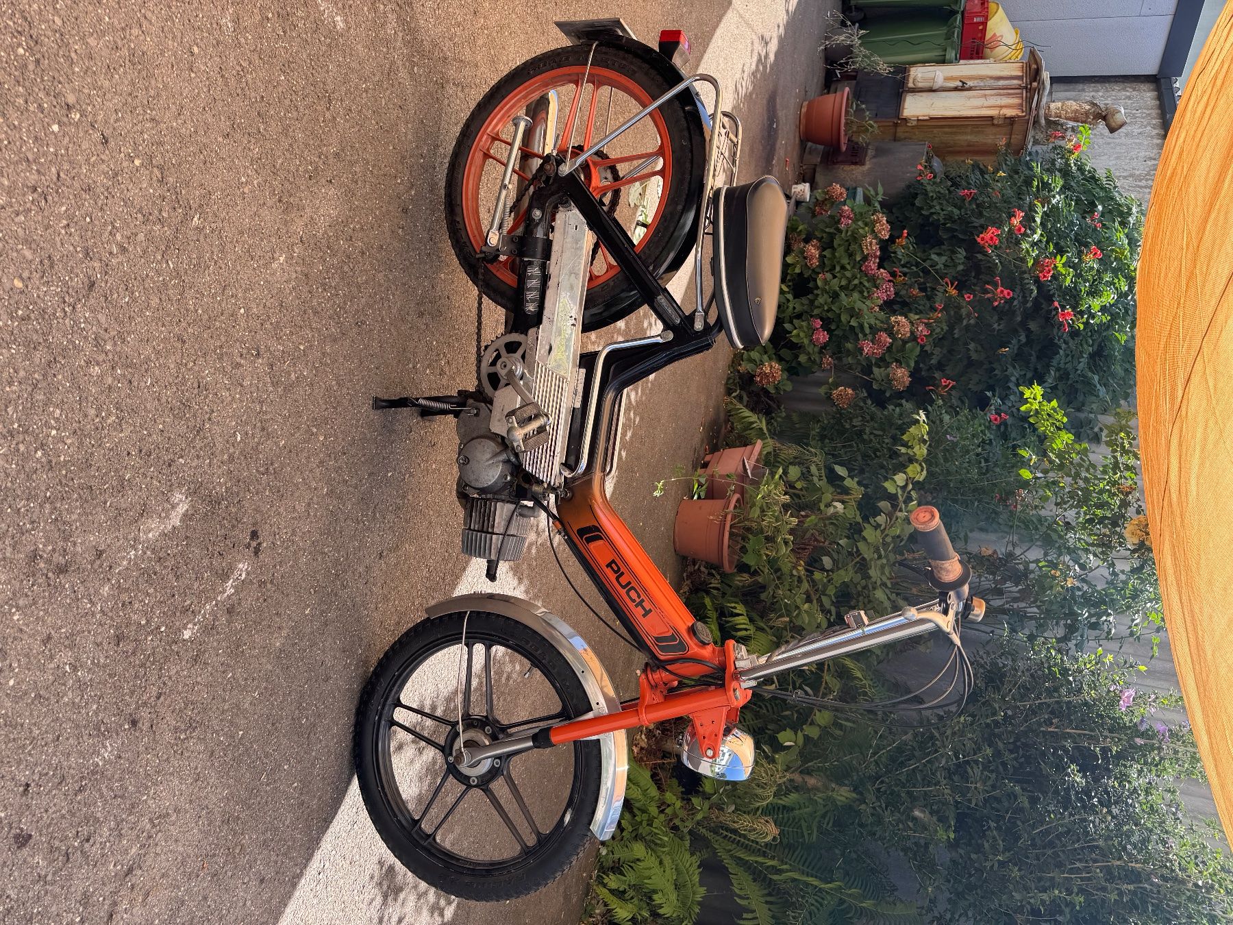 Puch Ciclomotori: Maxi Puch N – Usato da Widnau venduto da tgossi
