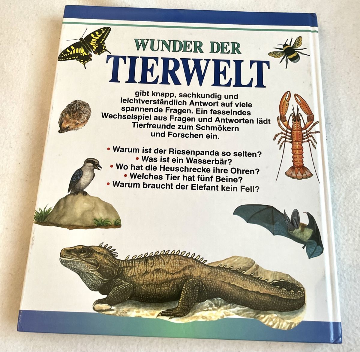 Livres: Buch – D'occasion à Sargans par Didis 1