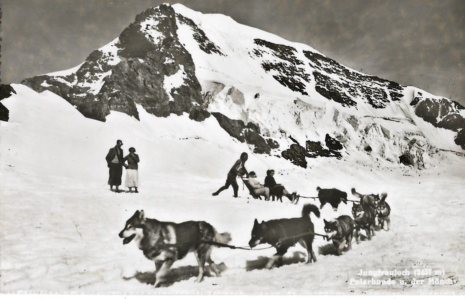 Cartoline postali: Jungfraujoch, Polarhunde – Usato da Frauenfeld venduto da Merk52