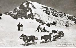 Jungfraujoch, Polarhunde