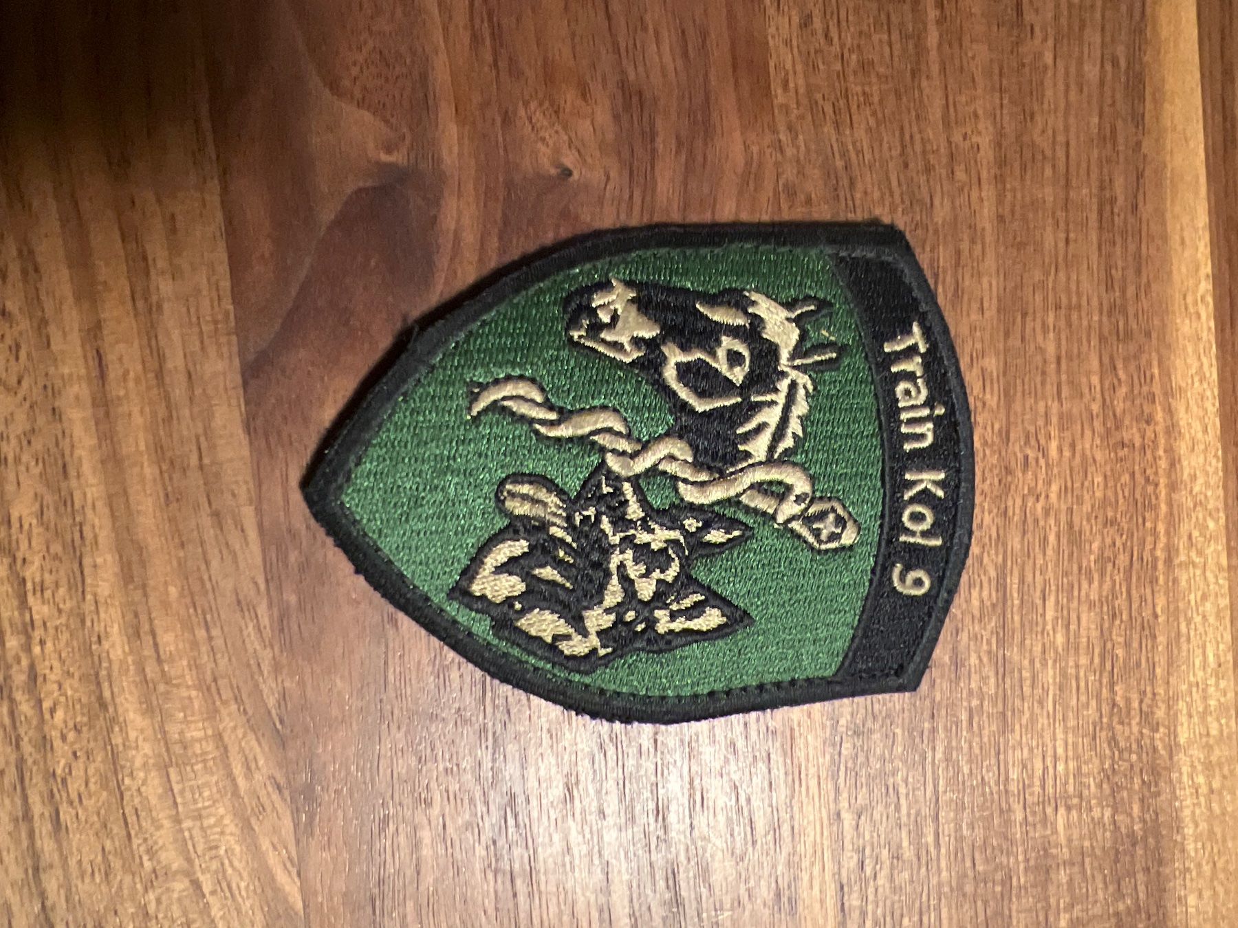 Schweizer Armee Plaketten & Abzeichen: Train Kol 9 grün Patch Abzeichen – Gebraucht aus Thun von IBT1