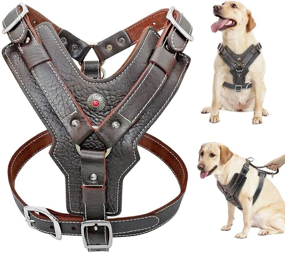 Bekleidung: Hundegeschirr – Neu (gemäss Beschreibung) aus Elgg von dan_f8gv 4