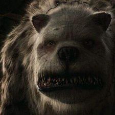Profile image of M.Bandersnatch
