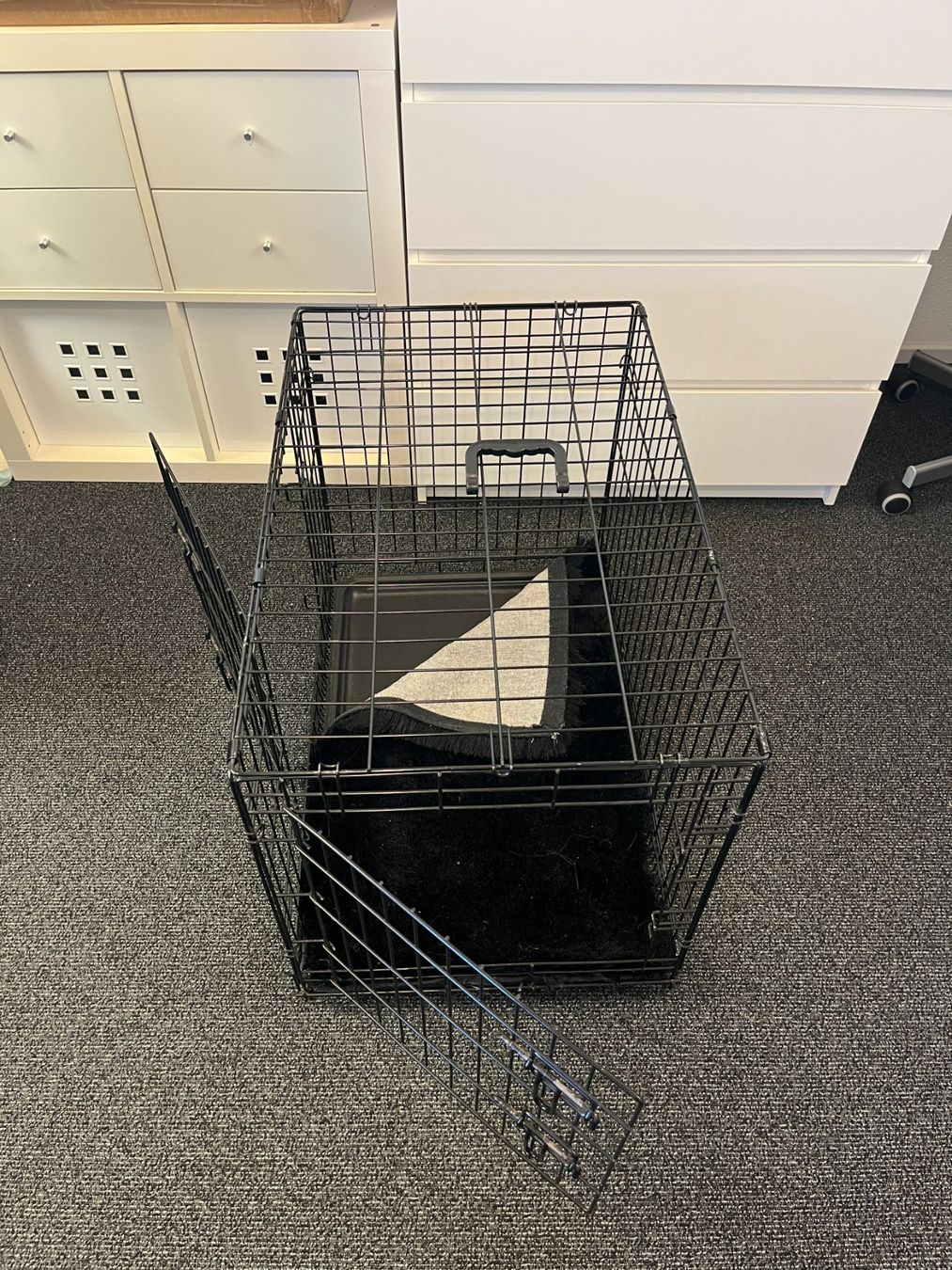 Käfige, Transport & Sicherheit: Hundebox mit Tragegriff / Dog Crate – Gebraucht aus Rütihof von SwissEritageAndMore 1