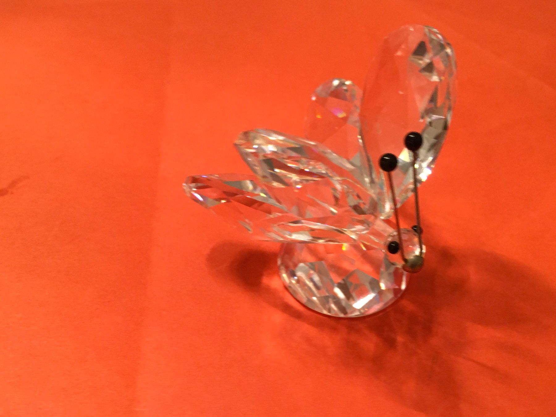 Swarovski Statuette: Swarovski Grosse Schmetterling – Nuovo (secondo la descrizione) da Oberglatt ZH venduto da Multimix 1