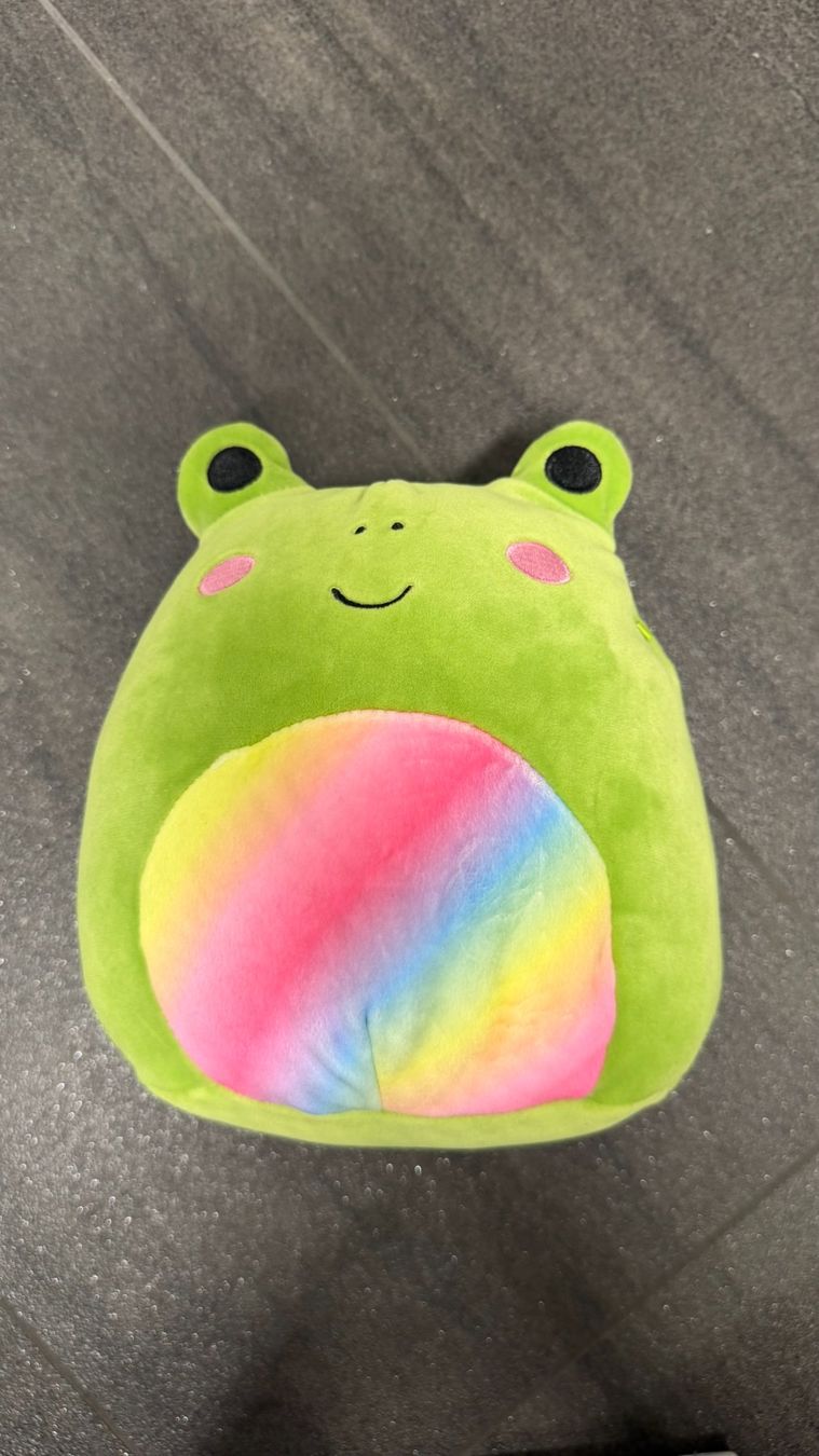 Squishmallows Spielzeuge: Squishmallow – Gebraucht aus Geuensee von Mary32 3